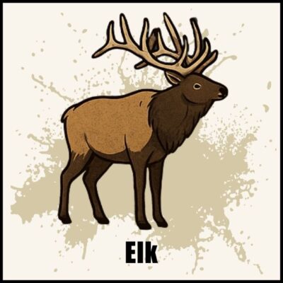 Image for choice number 3